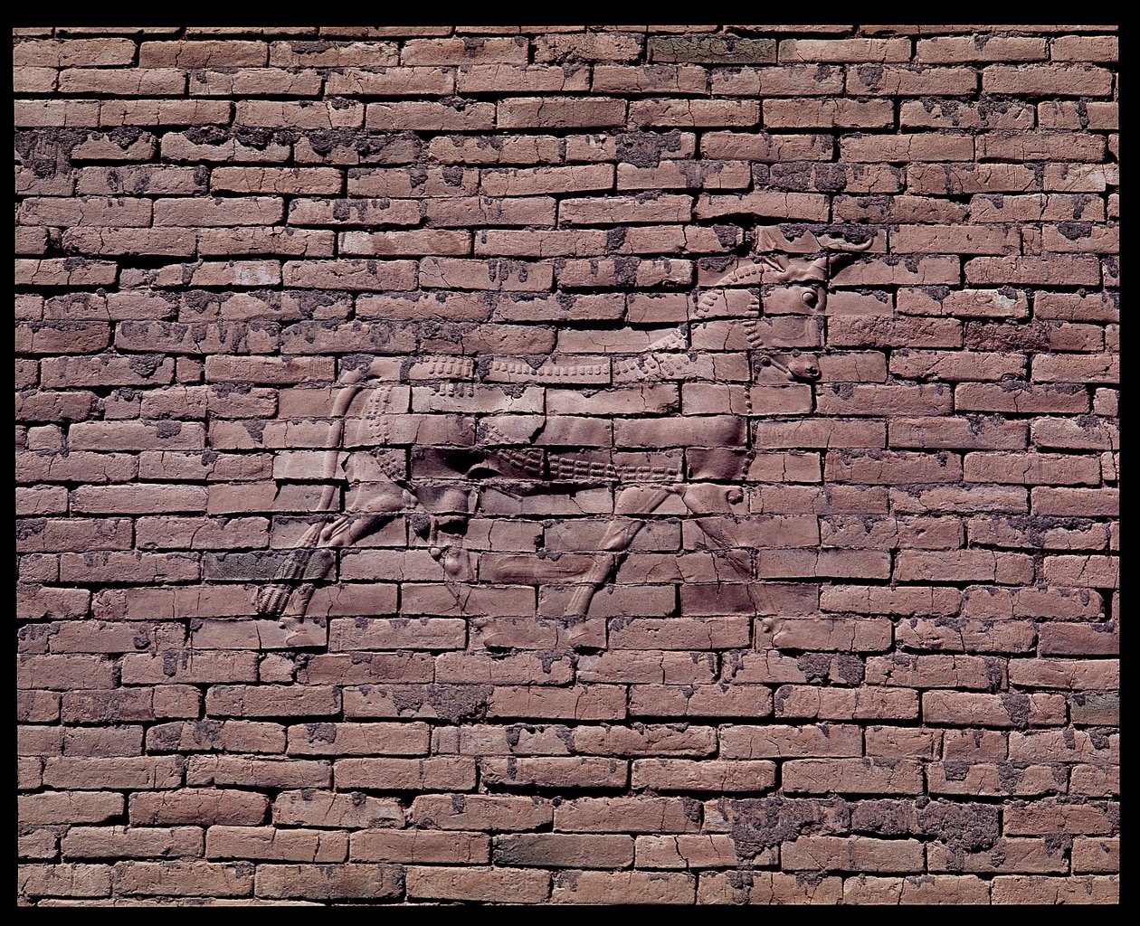 Részlet egy bikáról, az Ishtar-kapu domborműve, ie 580 alkotó: Babylonian