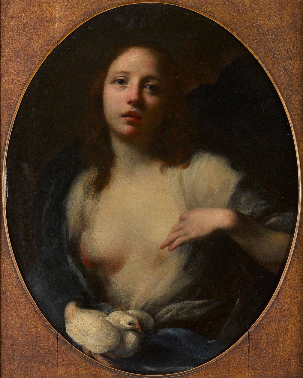 Egy fiatal lány festménye fehér galambbal (olaj, vászon) alkotó: Baldassare (1611 89) Franceschini
