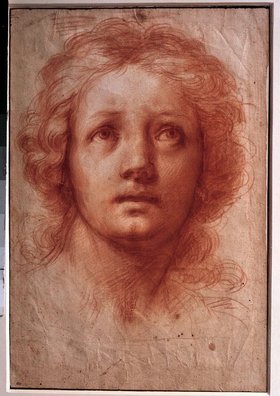 Egy női fej tanulmányozása, a merev tekintet felfelé fordul Franceschini Baldassare dit il Volterrano (1611-1689) rajza tintával és mosóval. 17. század. Homályos. 0,42x0,28 m. Párizs, Louvre Múzeum alkotó: Baldassare  Franceschini