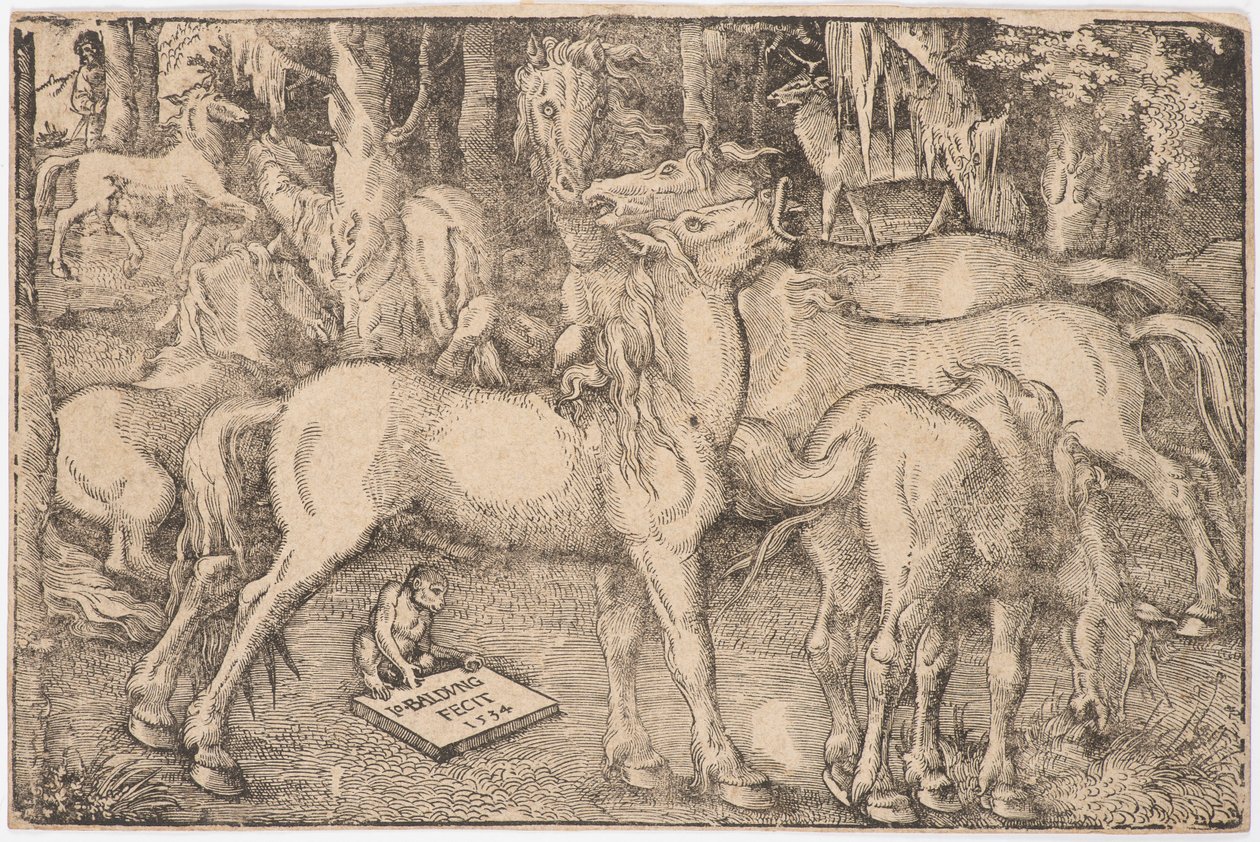 Hét ló csoportja, 1534. alkotó: Baldung