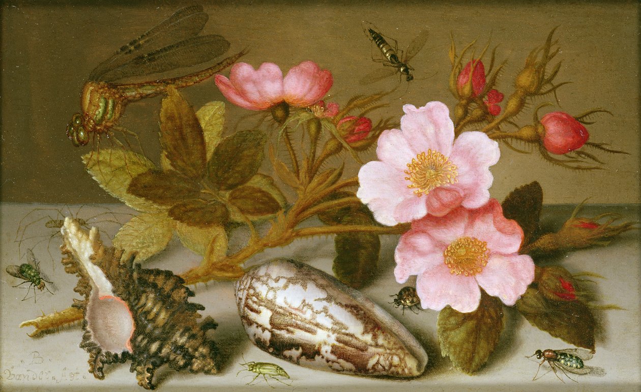 Virágokat, kagylókat és szitakötőt ábrázoló csendélet (olaj, réz) (a párhoz lásd: 251377) alkotó: Balthasar van der Ast
