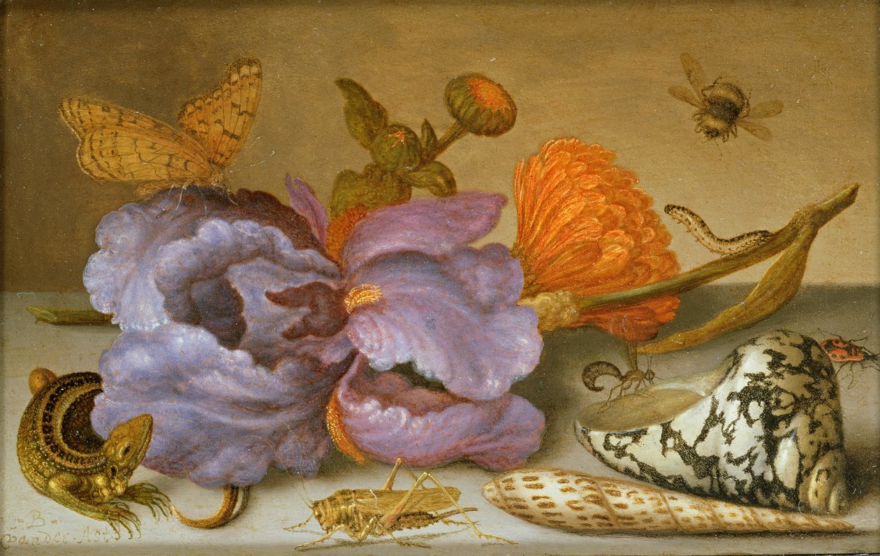 Virágokat, kagylókat és rovarokat ábrázoló csendélet (olaj, réz) (a párhoz lásd: 251378) alkotó: Balthasar van der Ast