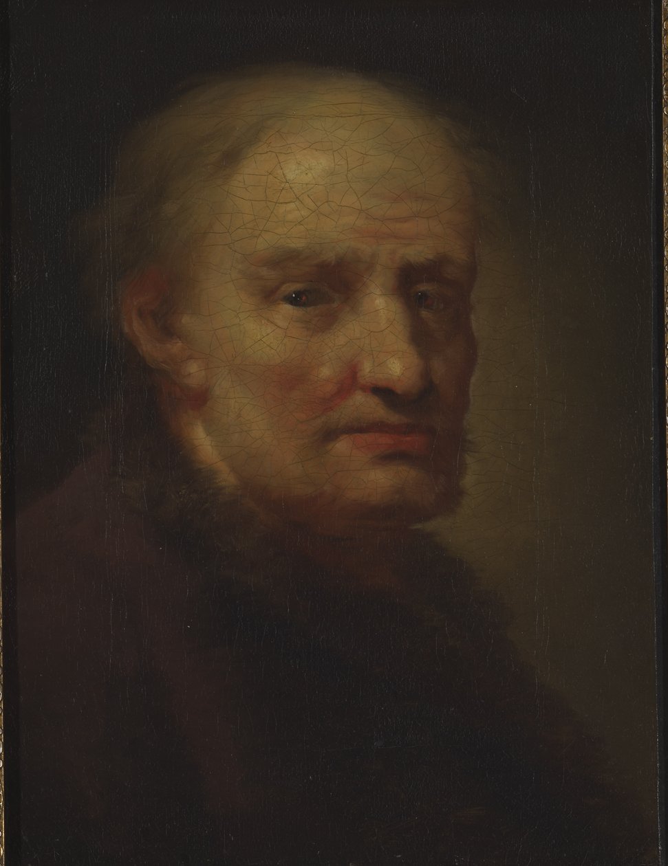 Egy öreg feje (olaj, vászon) alkotó: Balthasar Denner