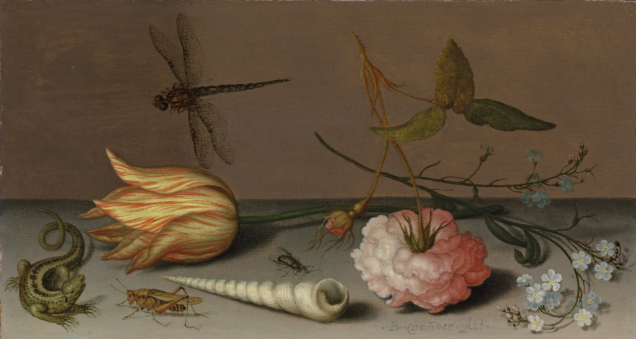 Tulipán, szegfű, nefelejcs permet, kagylóval, gyíkkal és szöcskével, párkányon, szitakötő repül alkotó: Balthasar van der Ast