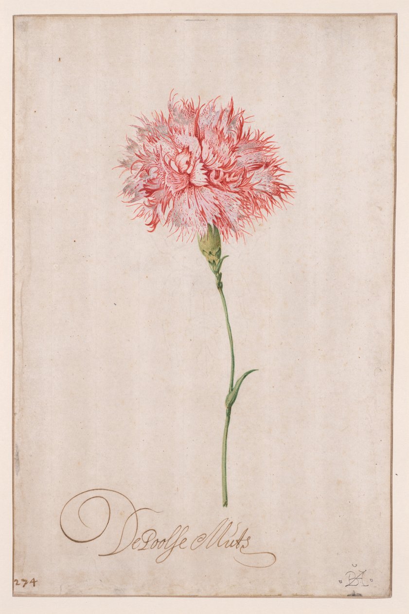 A lengyel kalap alkotó: Balthasar van der Ast