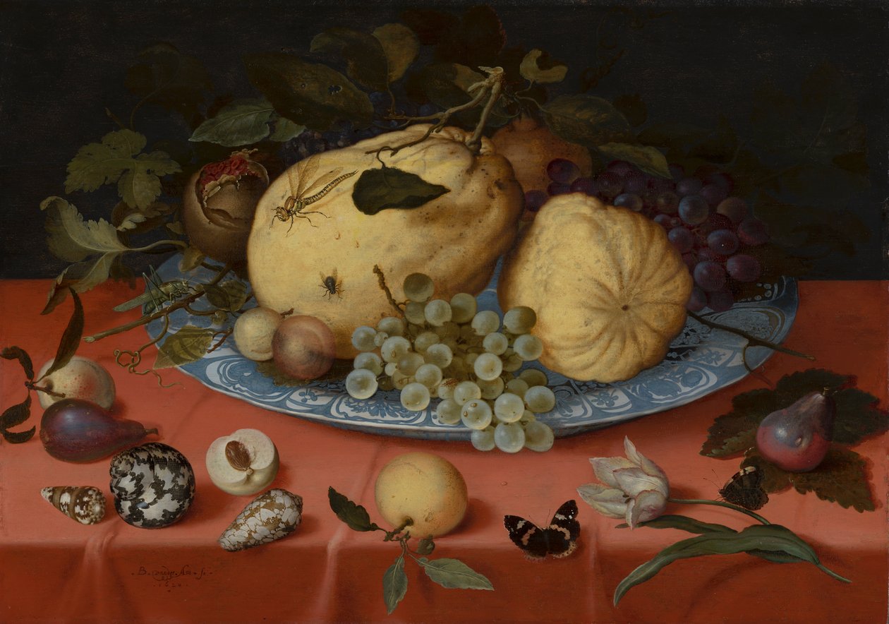 Gyümölcs csendélet kagylóval és tulipánnal alkotó: Balthasar van der Ast