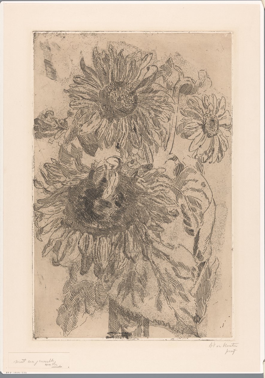 Három napraforgó egy vázában alkotó: Barbara Elisabeth van Houten (signed by artist)
