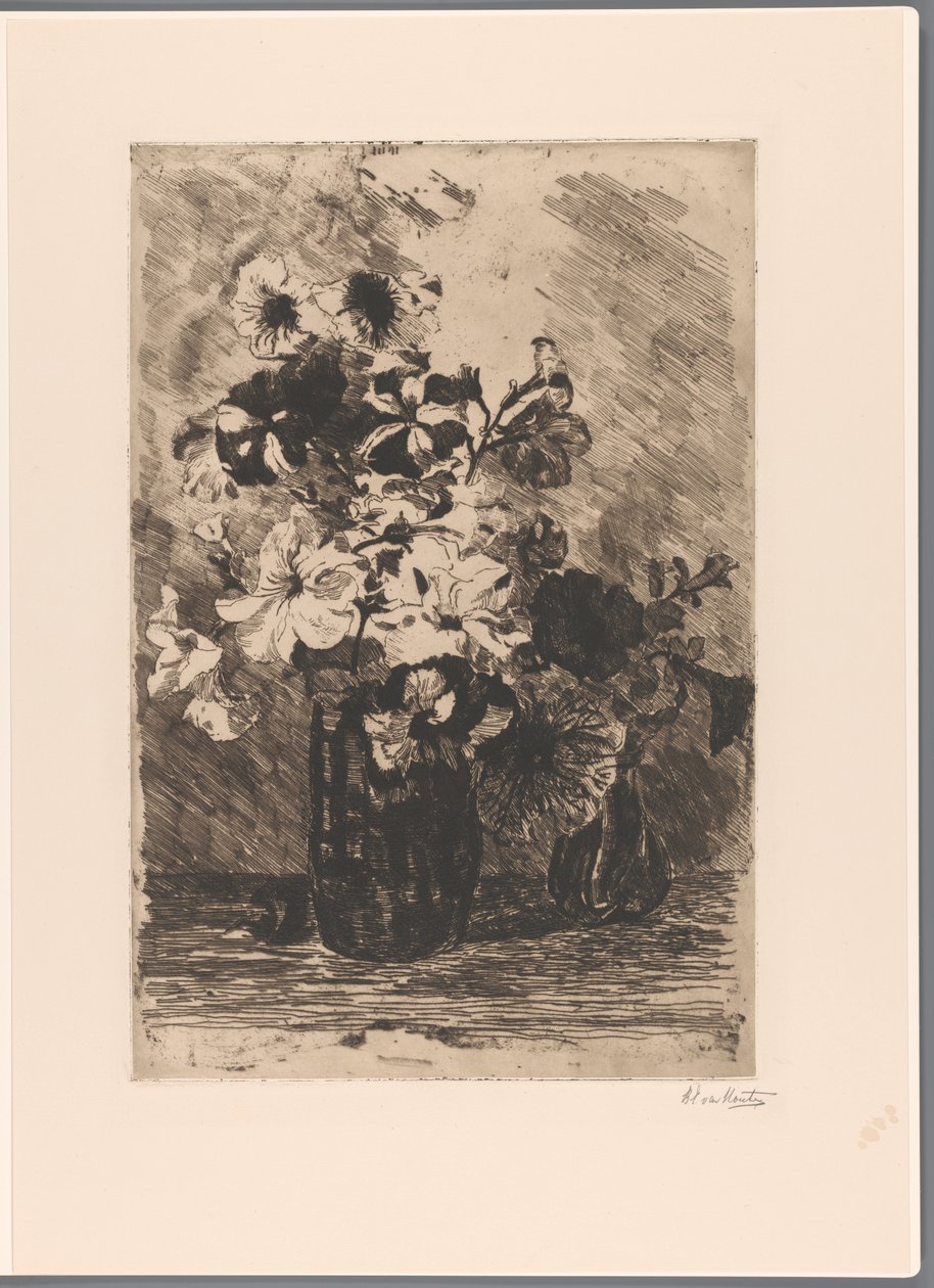 Petúniák két vázában alkotó: Barbara Elisabeth van Houten (signed by artist)