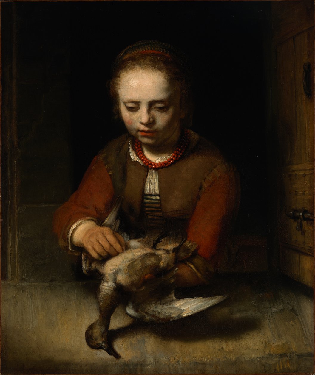Fiatal lány kacsázni alkotó: Barent Fabritius