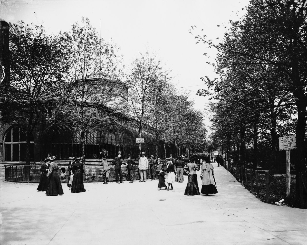 Lincoln Park Zoo., Chicago, Illinois, USA, 1900 körül (f/w fotó) alkotó: Barnes and Crosby