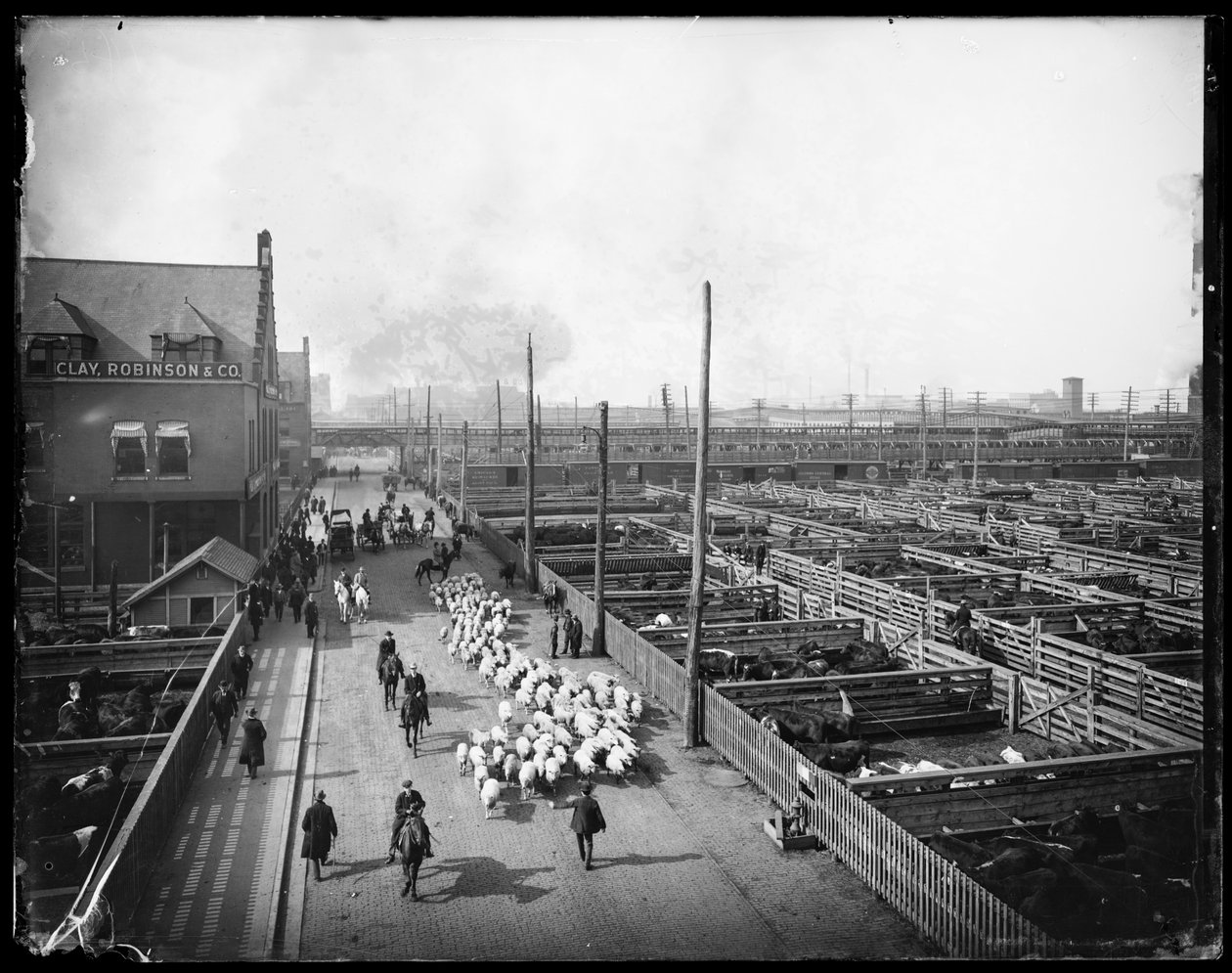 Union Stock Yards, Chicago, Illinois, USA, 1910 körül (f/w fotó) alkotó: Barnes and Crosby