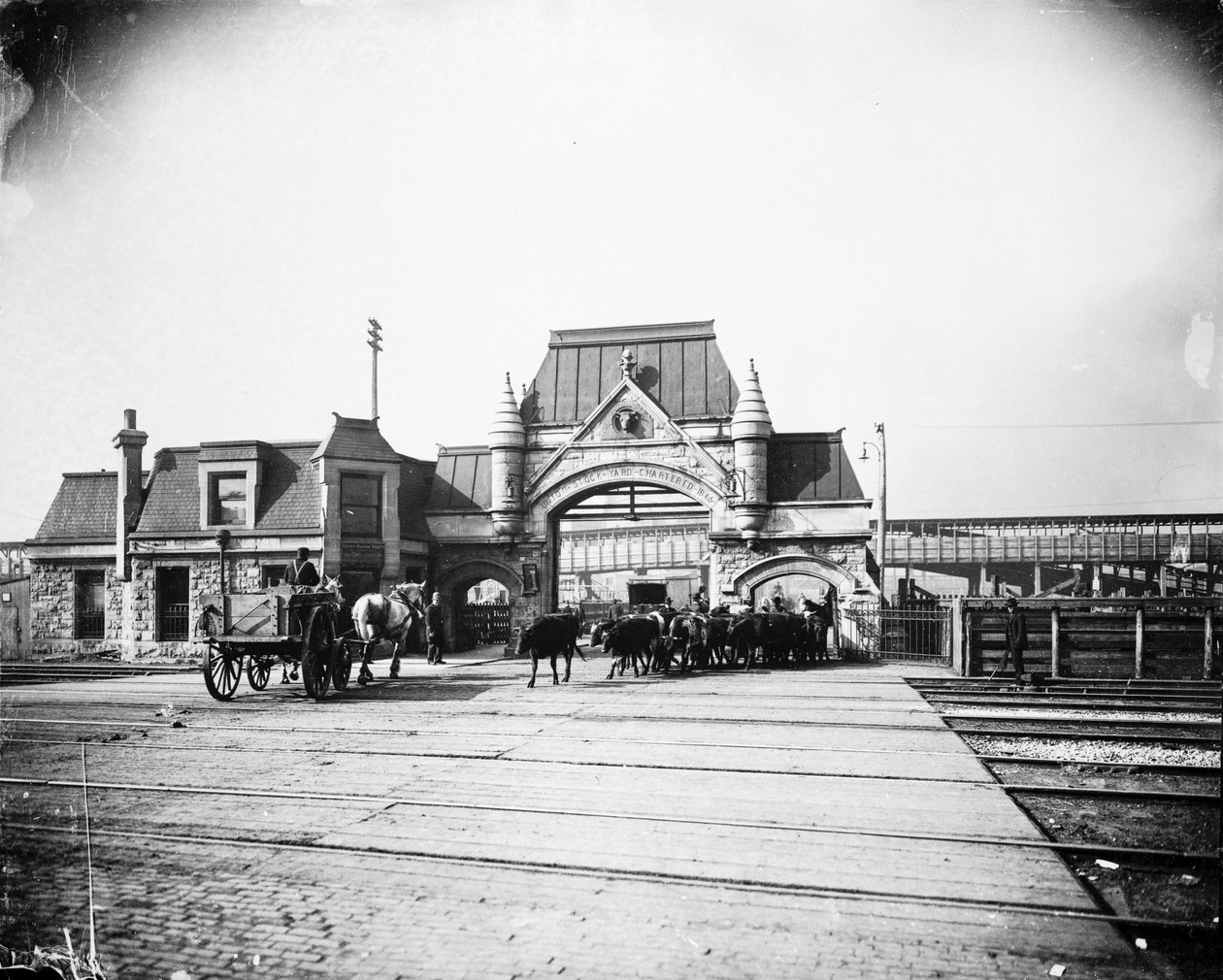Union Stock Yards kapuja az Exchange Avenue-n, Chicago, Illinois, USA, 1905 körül (f/w fotó) alkotó: Barnes and Crosby