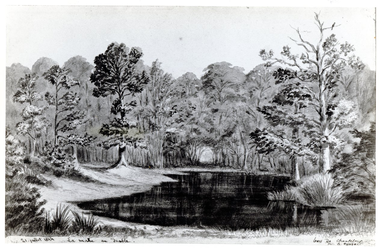 Az ördög tava a Bois de Chanteloup-ban, 1844 alkotó: Maurice Sand