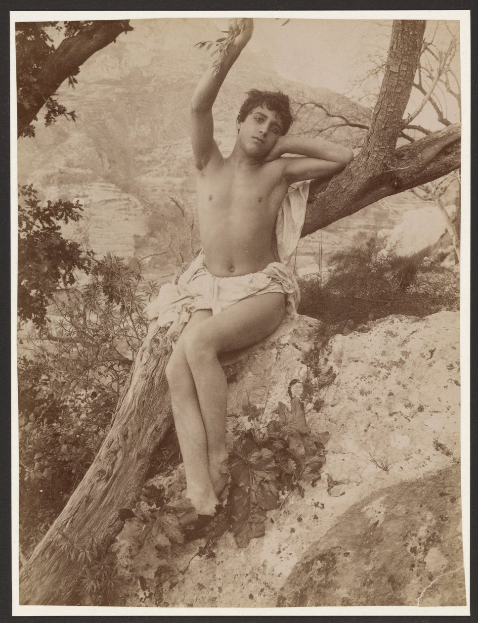 [Fiatal, felemelt karral egy fa mellett] alkotó: Baron Wilhelm von Gloeden