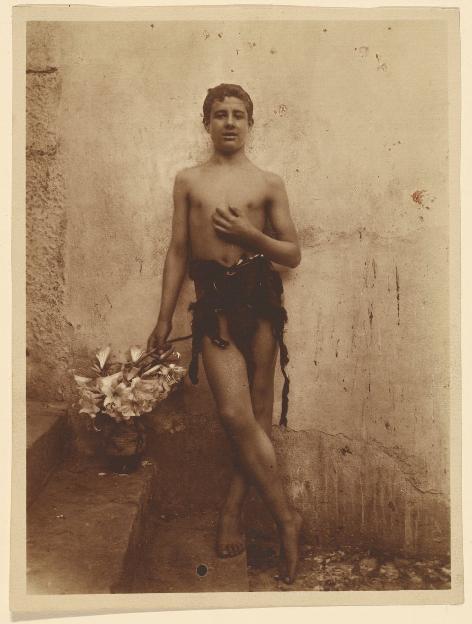 [Ifjúság liliomokkal] alkotó: Baron Wilhelm von Gloeden
