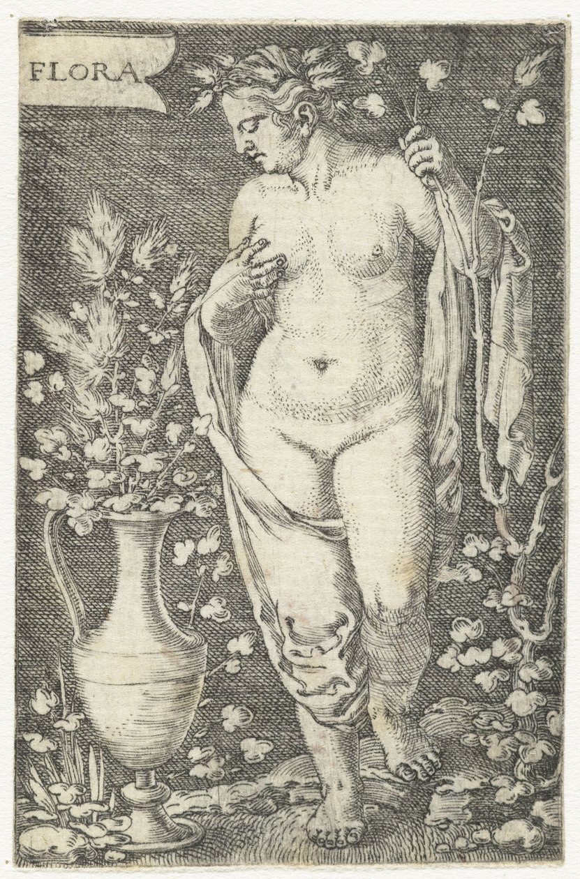 Flora (title on object)   1359978   hu       hungarian Successfully Translated  Original: Appley Towers grape. Illustration by A. Kreyder., Pessione, from Traite General de Viticulture. Ampelographie Translat: Appley Towers grape. Illustration by A. Kreyde alkotó: Barthel Beham
