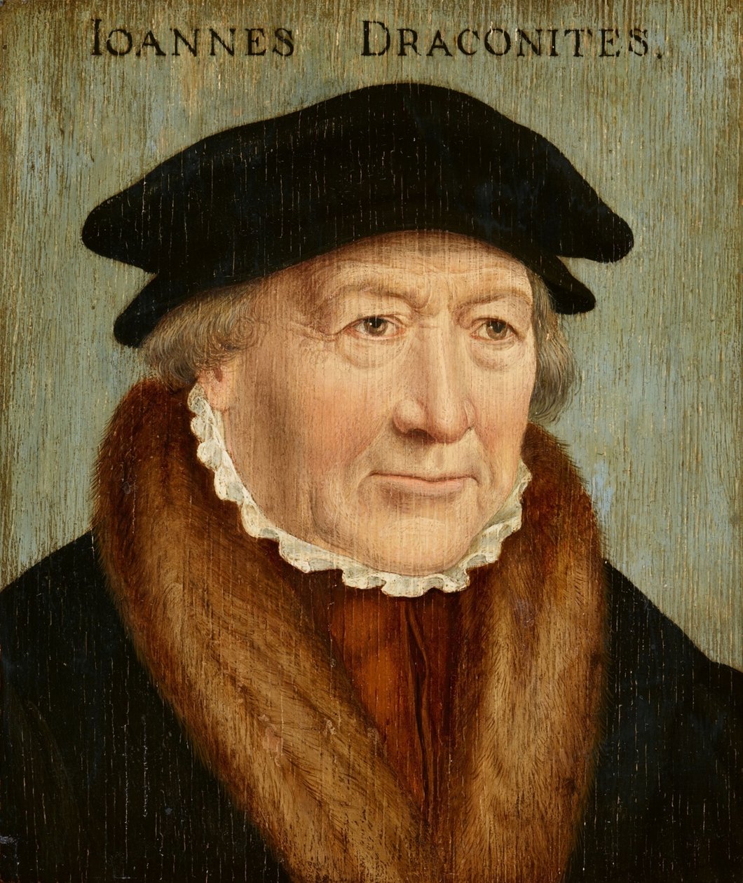 Johannes Draconites portréja alkotó: Bartholomaeus Bruyn the Elder