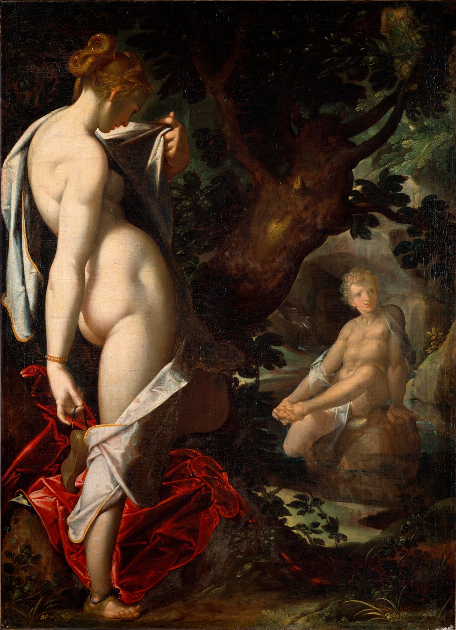 A naiád szalmácik a forrásban fürdő Hermafroditában gyönyörködnek (Festmény alkotó: Bartholomaeus Spranger