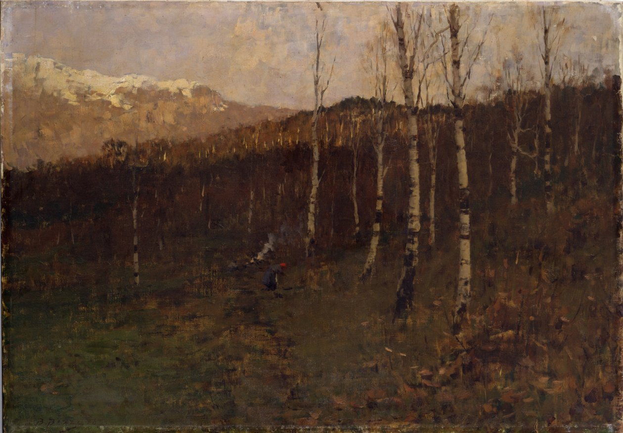 Coppice Nyír erdő alkotó: Bartolomeo Bezzi
