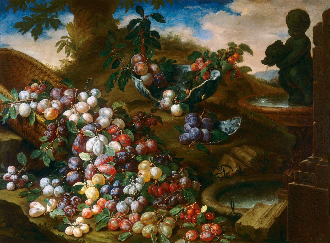 Szilva alkotó: Bartolomeo Bimbi