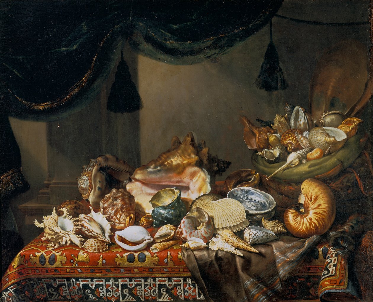 Csendélet kagylóval alkotó: Bartolomeo Bimbi
