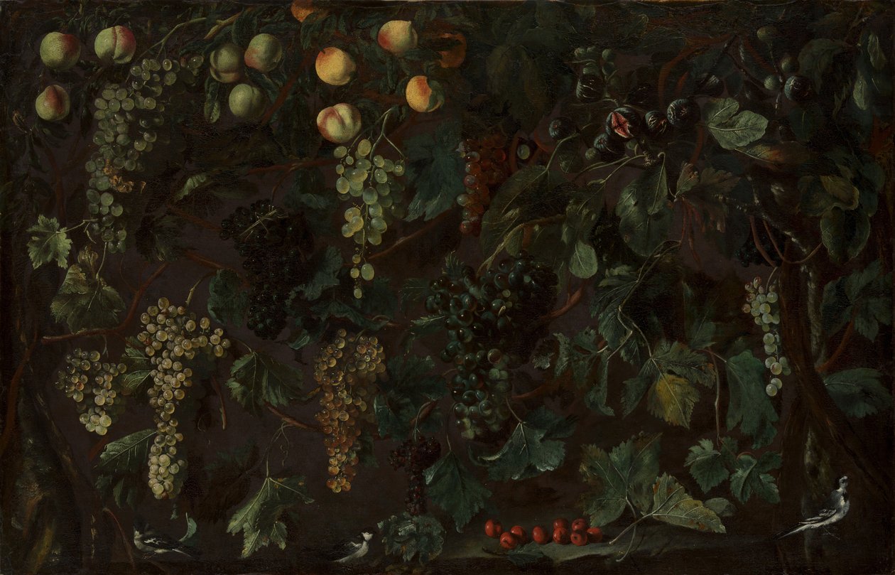 Szőlő és gyümölcs, három wagtail, kb. 1615-18. alkotó: Bartolomeo Cavarozzi