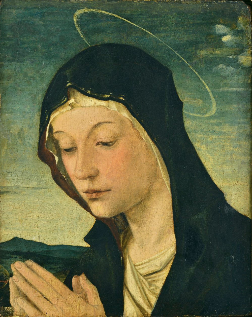 Egy imádó Madonna feje és kezei (töredék), 1477-78 körül (tempera, nyárfa) alkotó: Bartolomeo Montagna