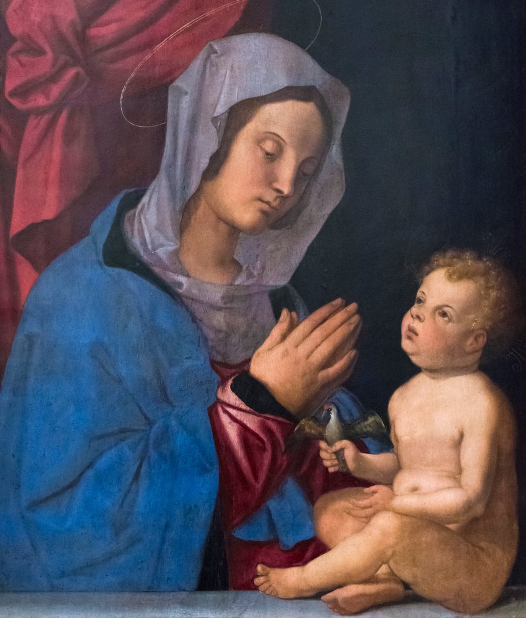 Madonna és gyermek, 1503 körül (olaj, falemez) alkotó: Bartolomeo Montagna