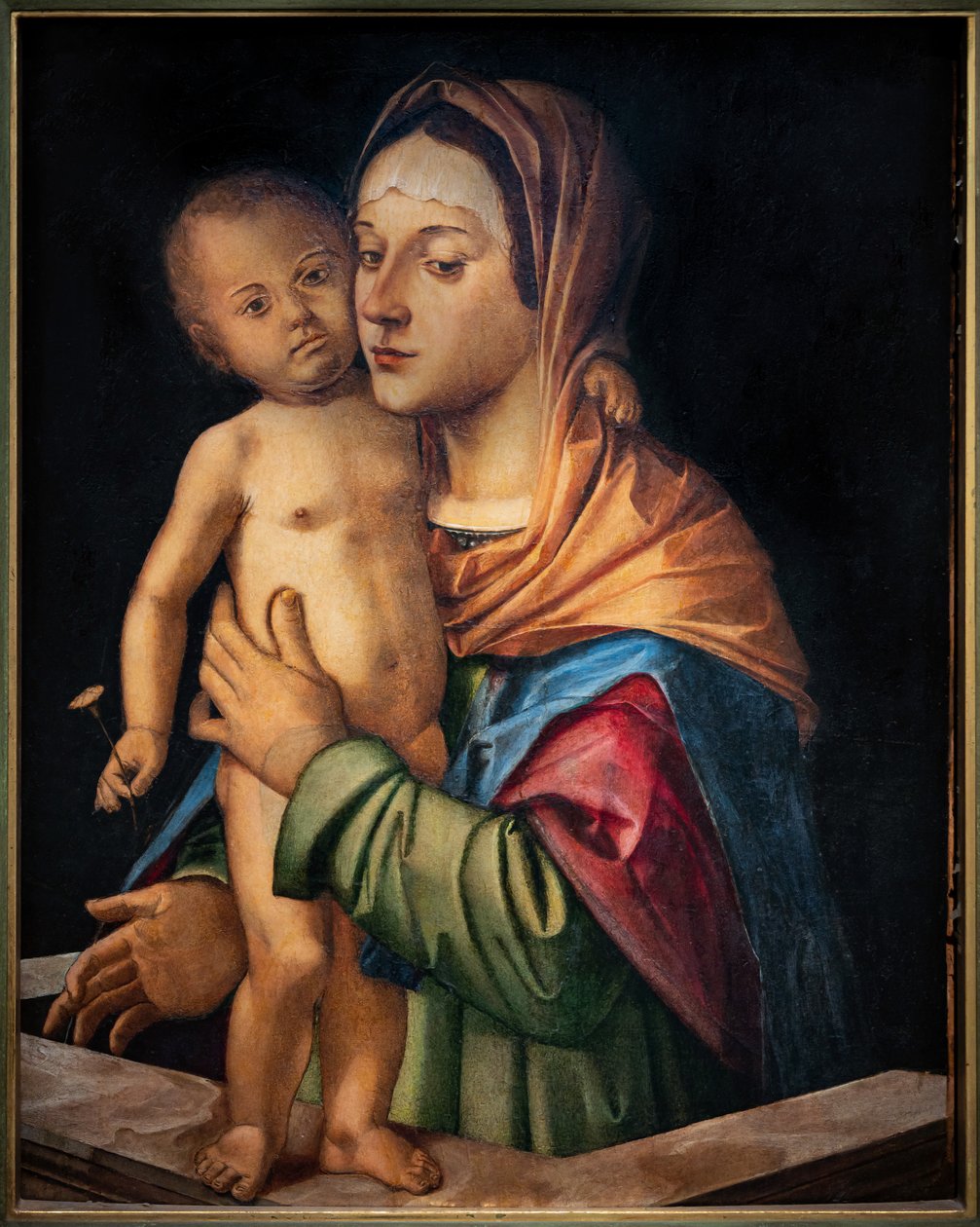 Madonna korláton álló kis Jézussal, 16. század eleje (olaj a táblán) alkotó: Bartolomeo Montagna
