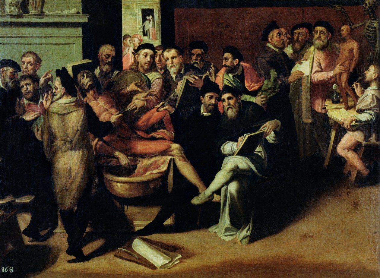 Anatómia lecke művészeknek alkotó: Bartolomeo Passarotti