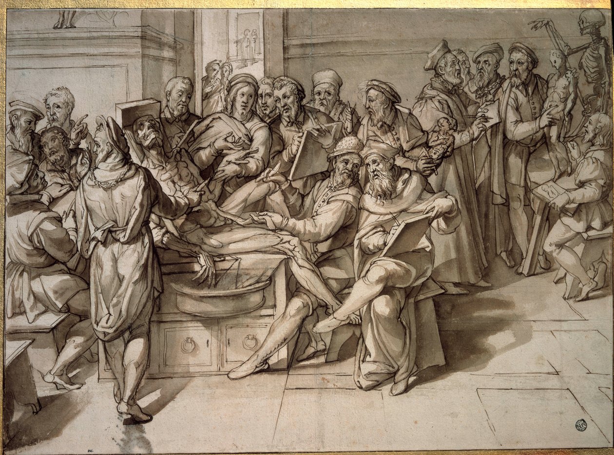 Anatómiai előadást tartott: Michelangelo Buonarroti dit Michelangelo (Michelangelo vagy Michel Ange alkotó: Bartolomeo Passarotti