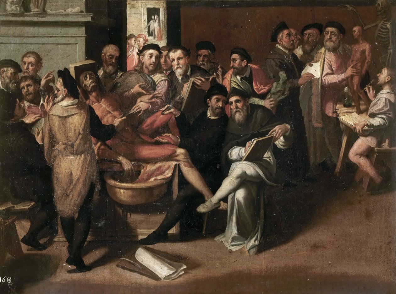 Passerotti, Bartolomeo (1529-1592) az anatómia leckéje. Olajfestmény. Galleria Borghese, Róma alkotó: Bartolommeo Passerotti