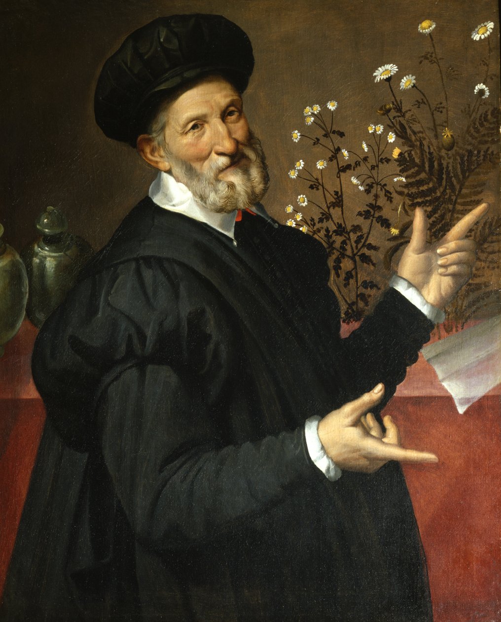 A botanikus alkotó: Bartolommeo Passerotti