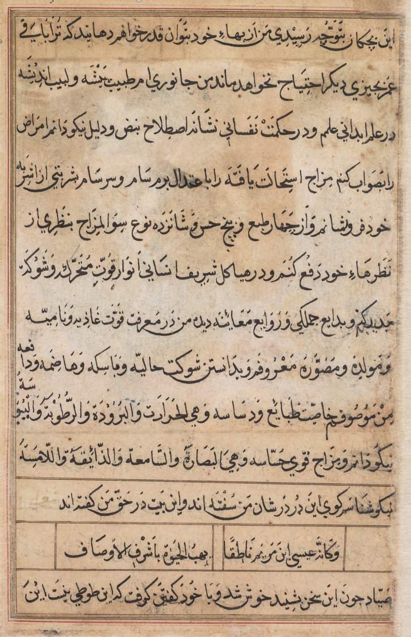 Oldal a Papagáj meséiből Tuti-nama: szövegoldal, c. 1560. alkotó: Basavana
