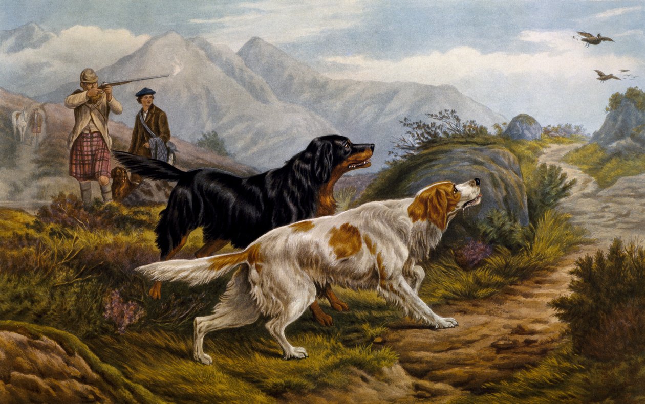 Nyírfajdvadászat alkotó: Basil Bradley