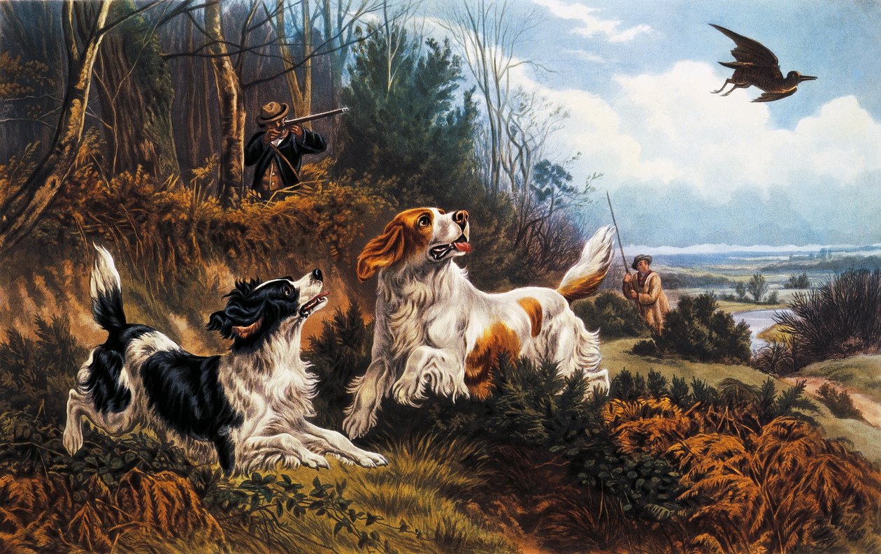 Fakakas vadászat alkotó: Basil Bradley