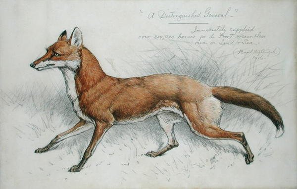 "Egy tisztelt tábornok" alkotó: Basil J. Nightingale