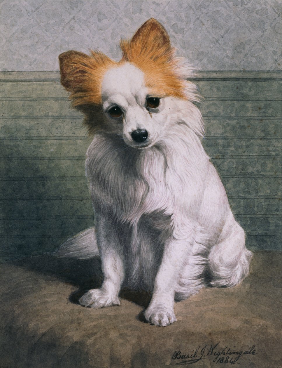 Játék kutya alkotó: Basil J. Nightingale