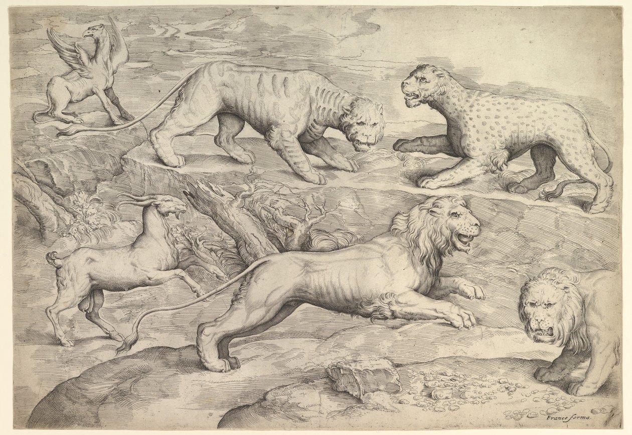 Hat állat, köztük oroszlán, tigris, leopárd, griff és kecske, kb. 1530-61. alkotó: Battista Franco Veneziano