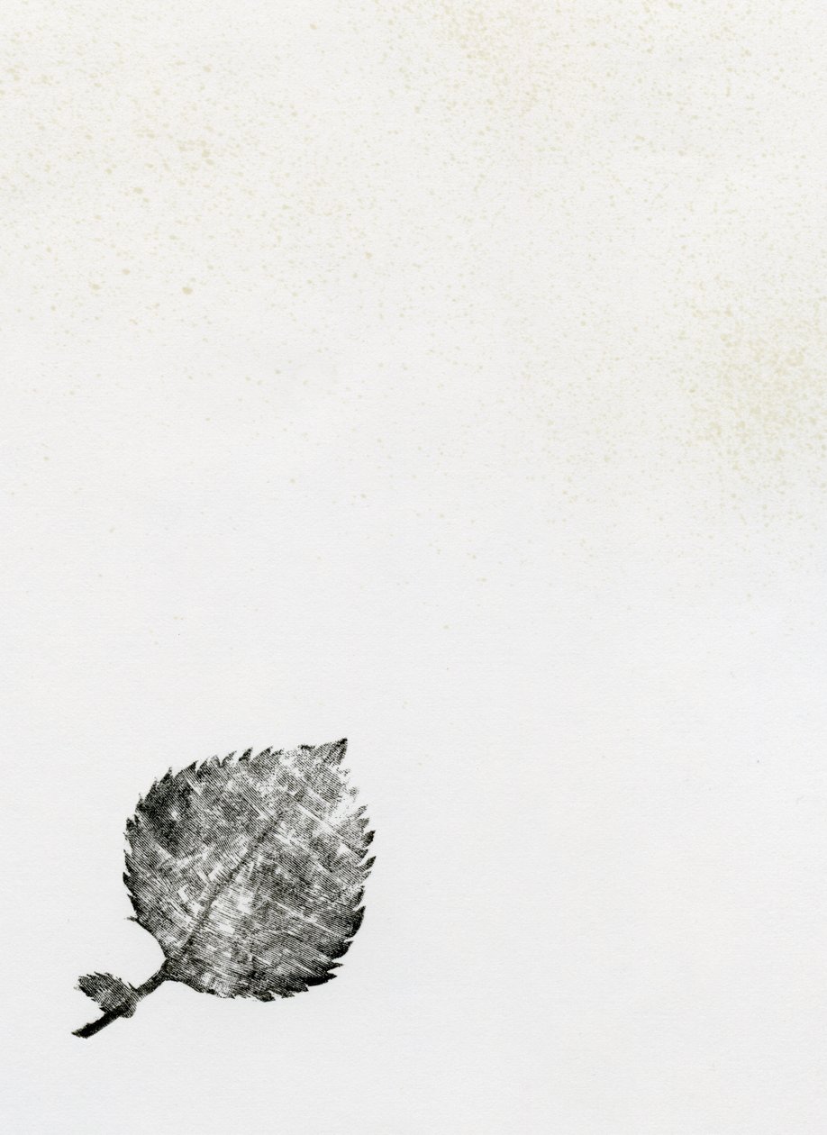 Leaf {Fay-erie Dust}, 2014 (fagravírozás és tinta papíron) alkotó: Bella Larsson