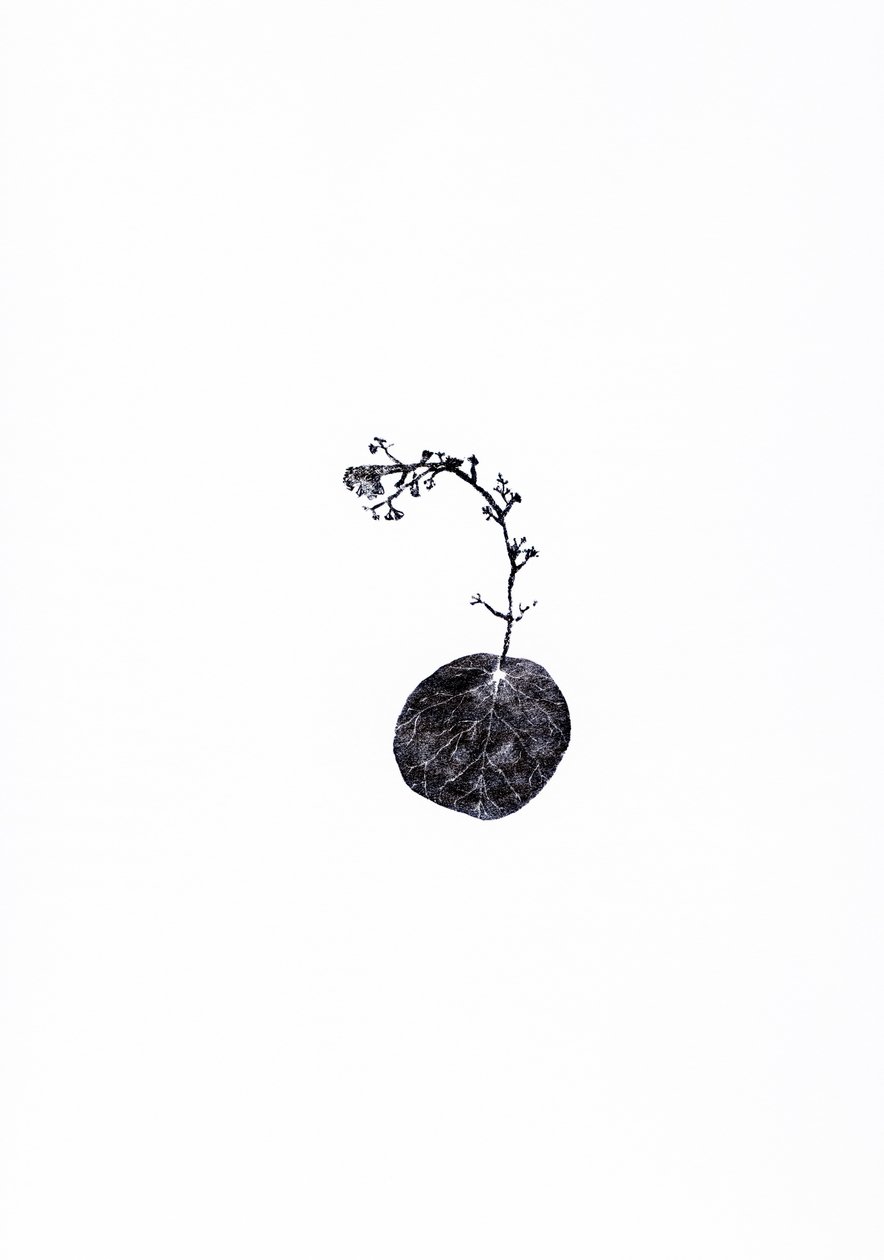 Vontató, 2014 (fametszet papíron) alkotó: Bella Larsson