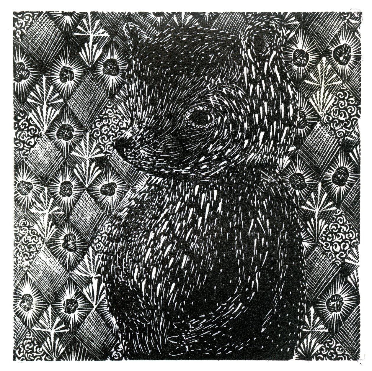Ursus arctos ssp. domesticus, 2013 (fametszet papírra) alkotó: Bella Larsson