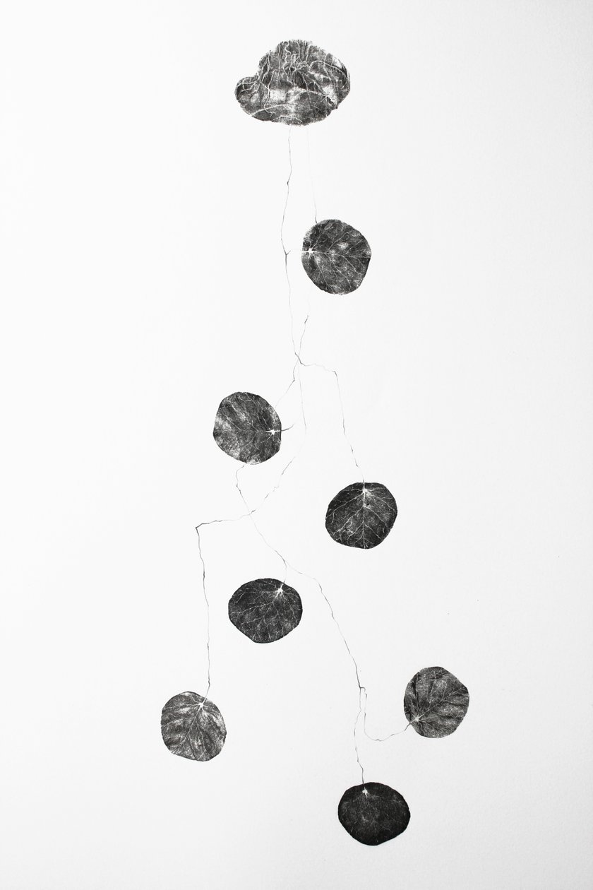 Vessel, 2014 (fametszetkollázs és ceruzarajz papírra) alkotó: Bella Larsson