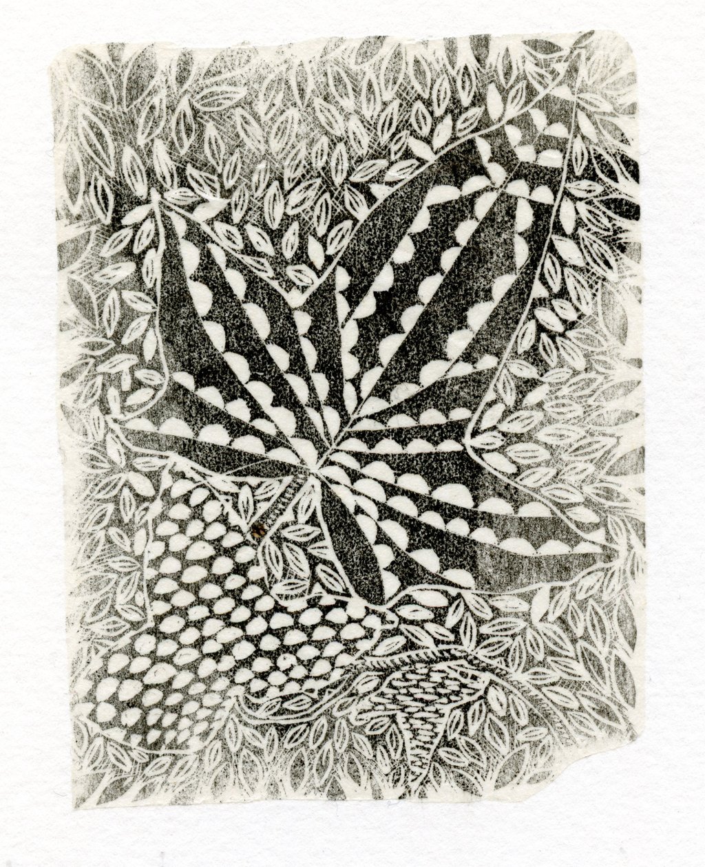 Ivy, 2014, (fametszet papíron) alkotó: Bella Larsson