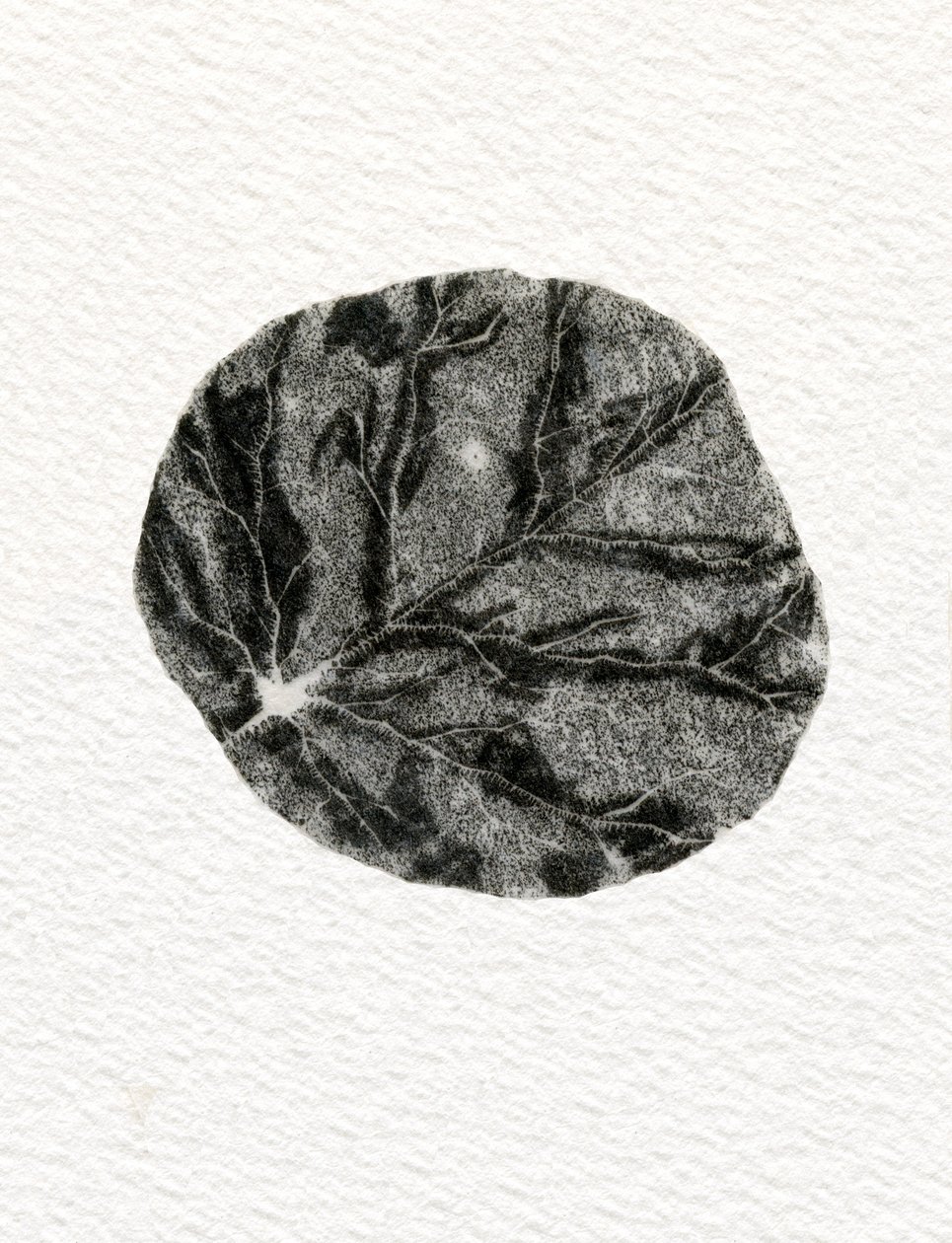 Levél, 2014, (fametszet papíron) alkotó: Bella Larsson
