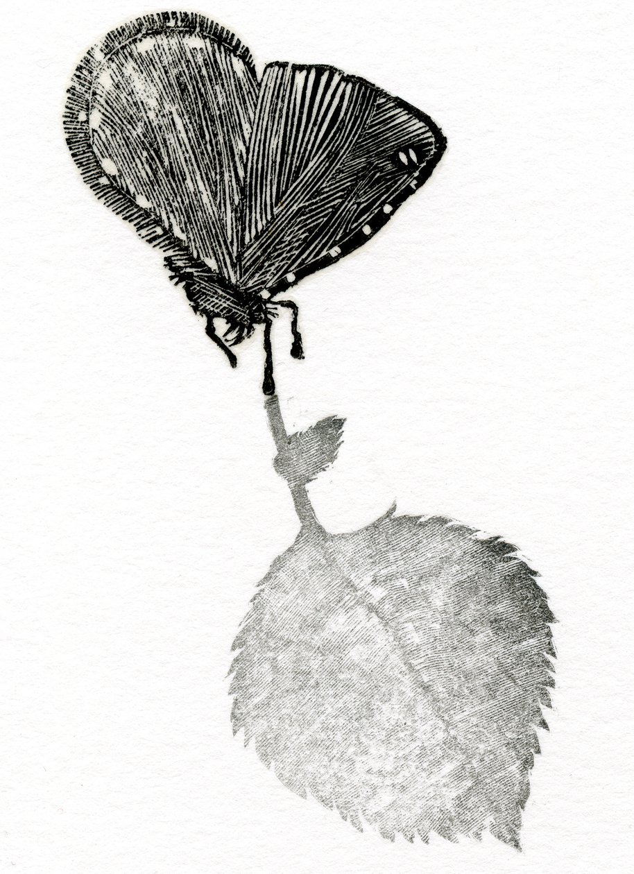 Suspense, 2014 (Fametszet, kollázs papíron) alkotó: Bella Larsson
