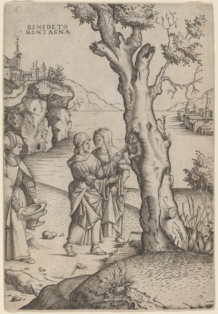 Adonis születése alkotó: Benedetto Montagna