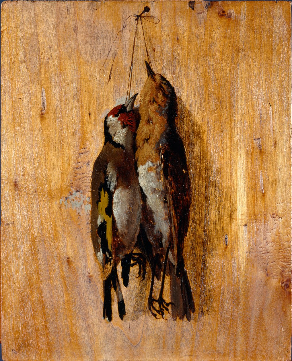 A természet utáni tanulmányozása Két döglött madár gombostű a falon. Benedetto Musso (1835-1883) festménye 1864 körül V. 20,5x16,5 cm-es gének, Galleria d