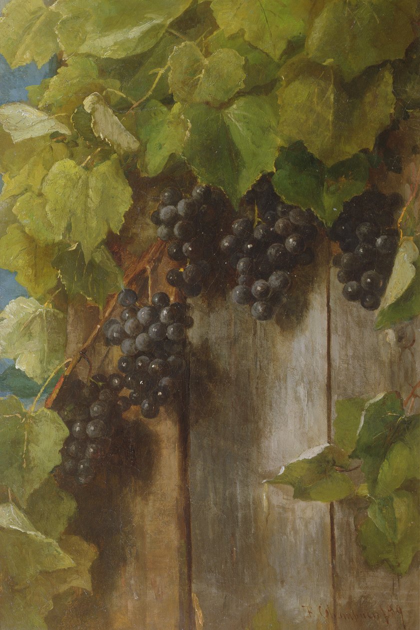 Egy termő szőlő, 1889 alkotó: Benjamin Champney