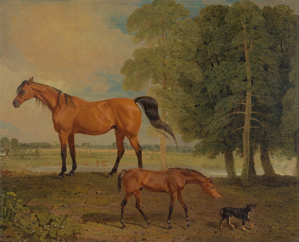 Broodmare csikóval és egy terrier alkotó: Benjamin Marshall